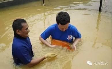 紅龍魚漁場排名前十，紅龍魚漁場排名前十的地點