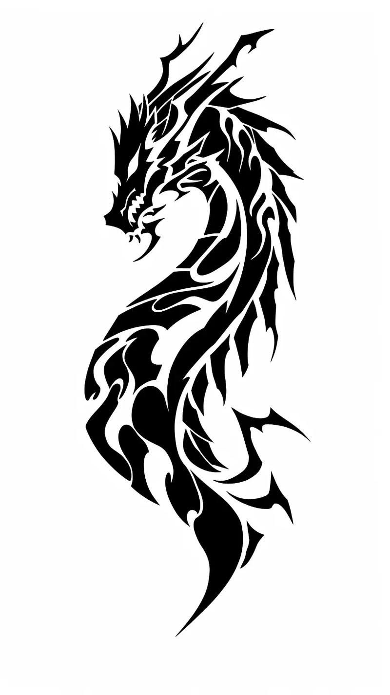 哪里可以找到龍圖騰矢量圖？ 哪里可以找到龍圖騰矢量圖？ 龍魚百科 第2張