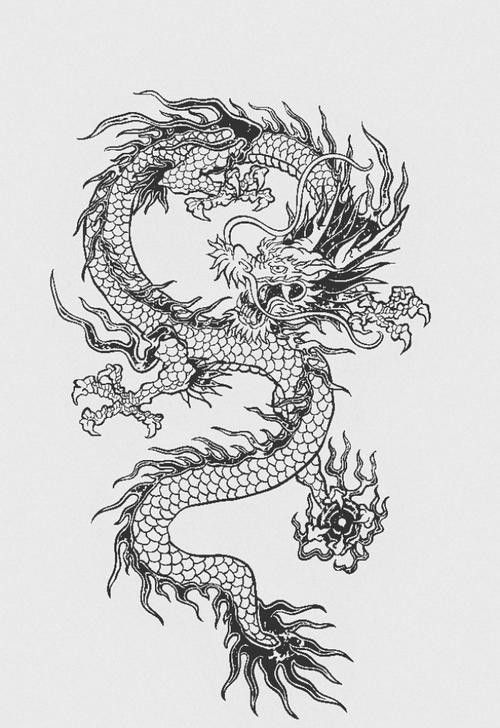 哪里可以找到龍圖騰矢量圖？ 哪里可以找到龍圖騰矢量圖？ 龍魚百科 第20張