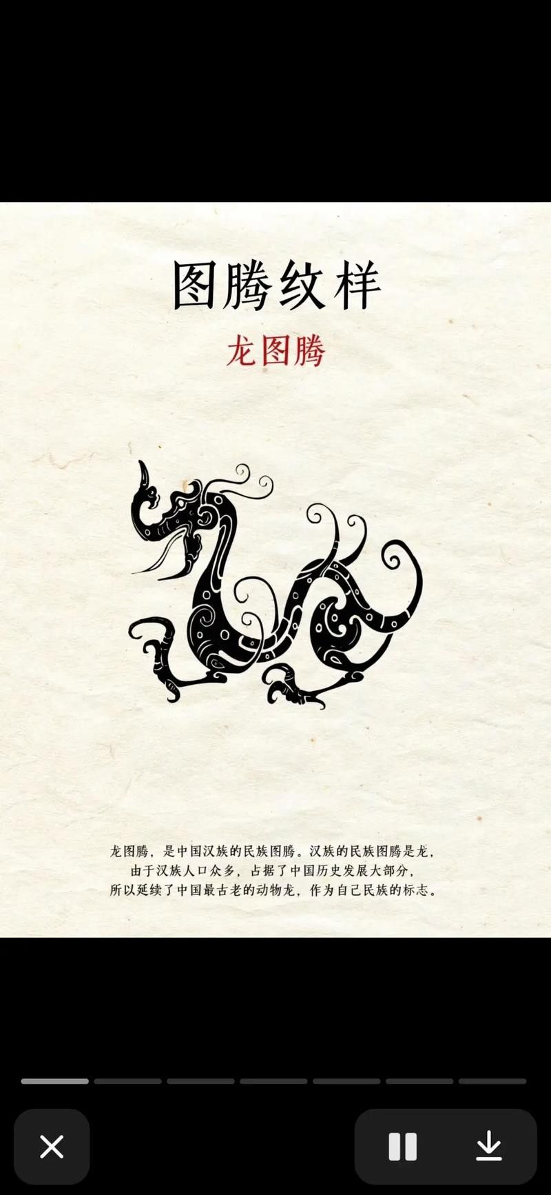 哪里可以找到龍圖騰矢量圖？ 哪里可以找到龍圖騰矢量圖？ 龍魚百科 第24張