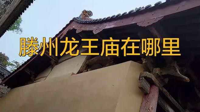 給我推薦一些著名的龍王廟 給我推薦一些著名的龍王廟 龍魚百科 第3張