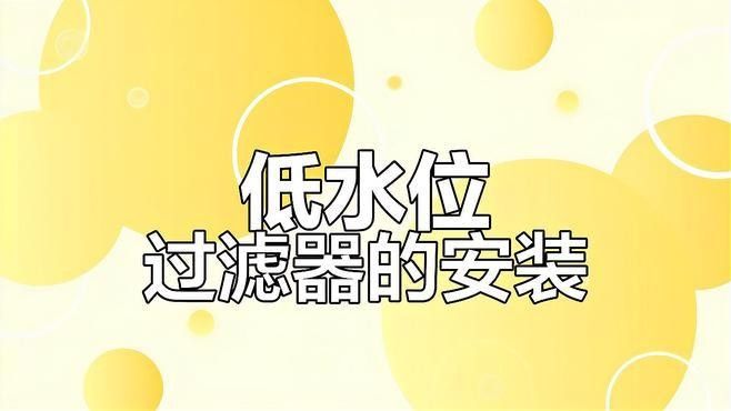 龍魚和烏龜混養需要哪些過濾器？ 龍魚和烏龜混養需要哪些過濾器？ 龍魚百科 第3張