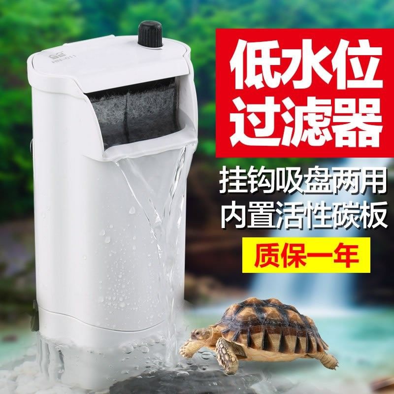 龍魚和烏龜混養需要哪些過濾器？ 龍魚和烏龜混養需要哪些過濾器？ 龍魚百科 第4張