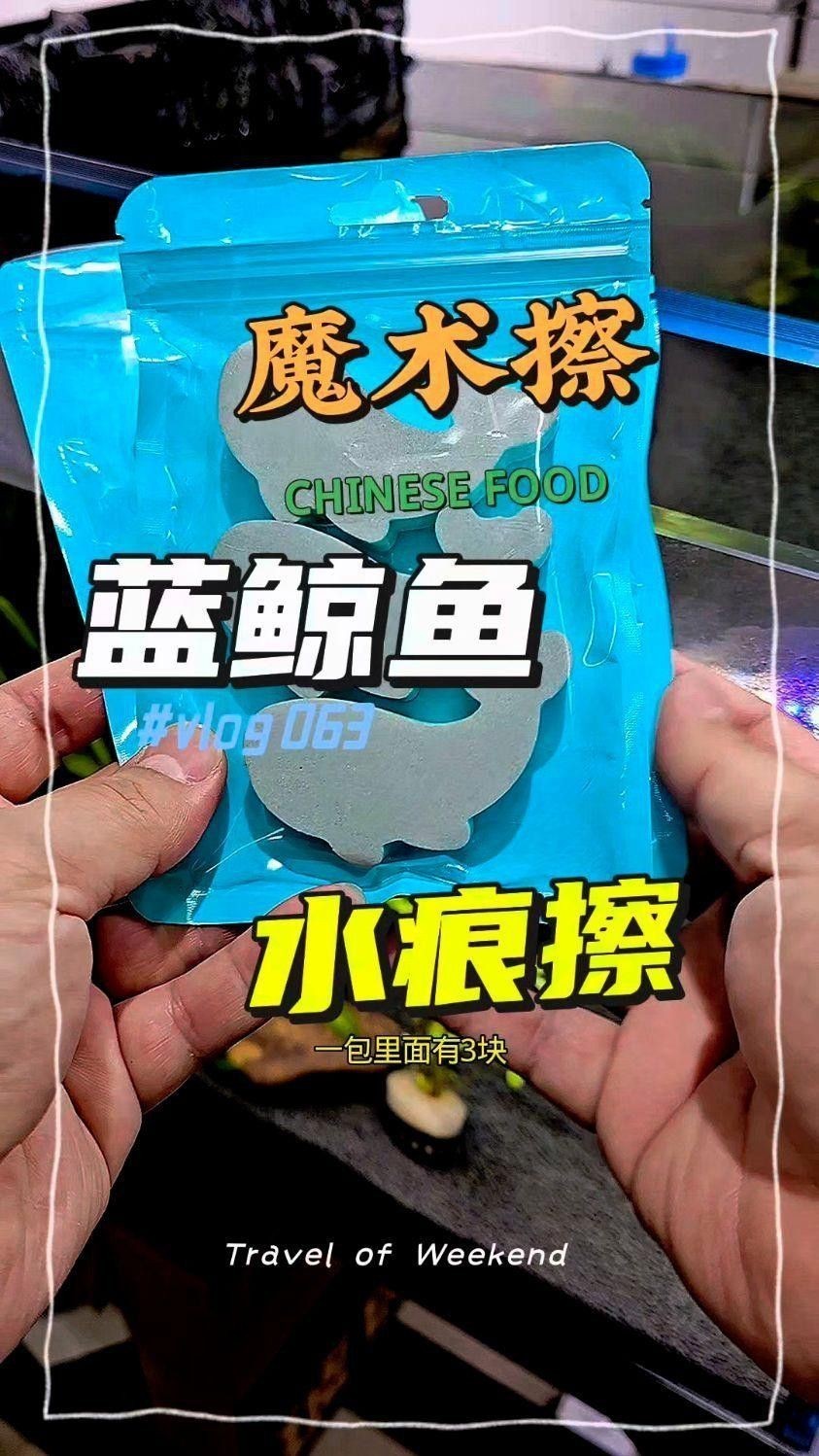 如何清潔和維護金龍魚缸背景板？