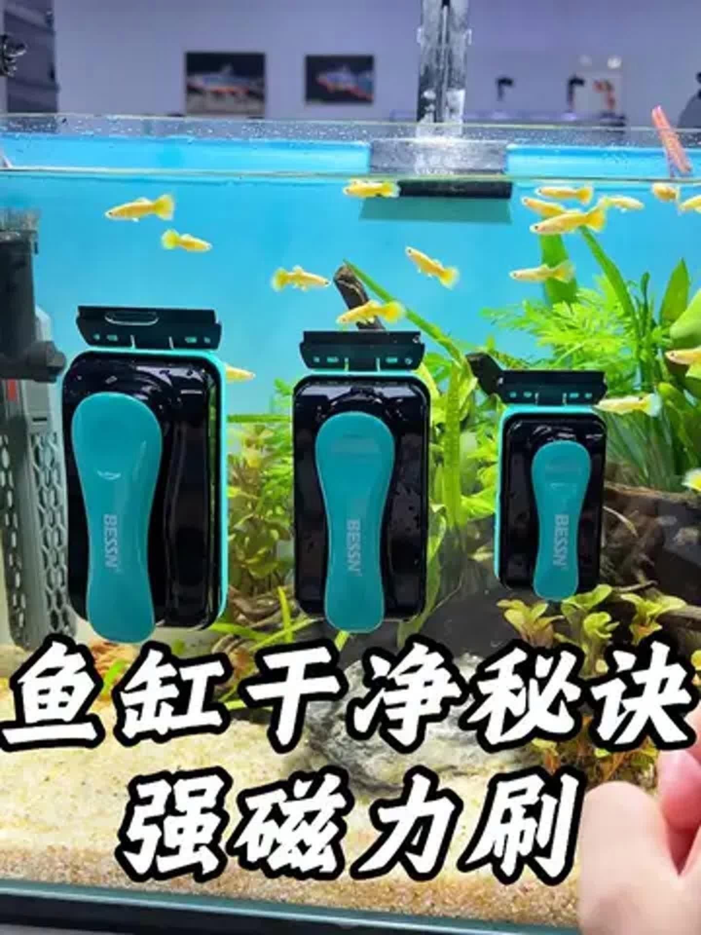 如何清潔和維護金龍魚缸背景板？