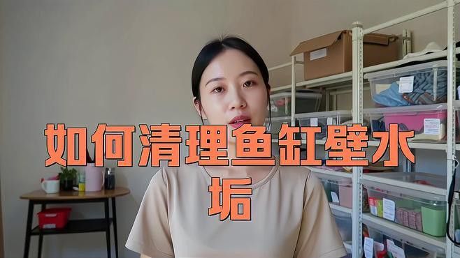 如何清潔和維護金龍魚缸背景板？