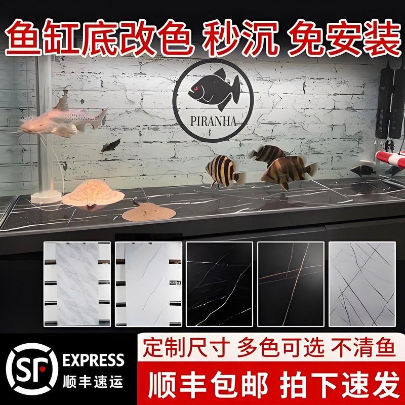 如何清潔和維護金龍魚缸背景板？