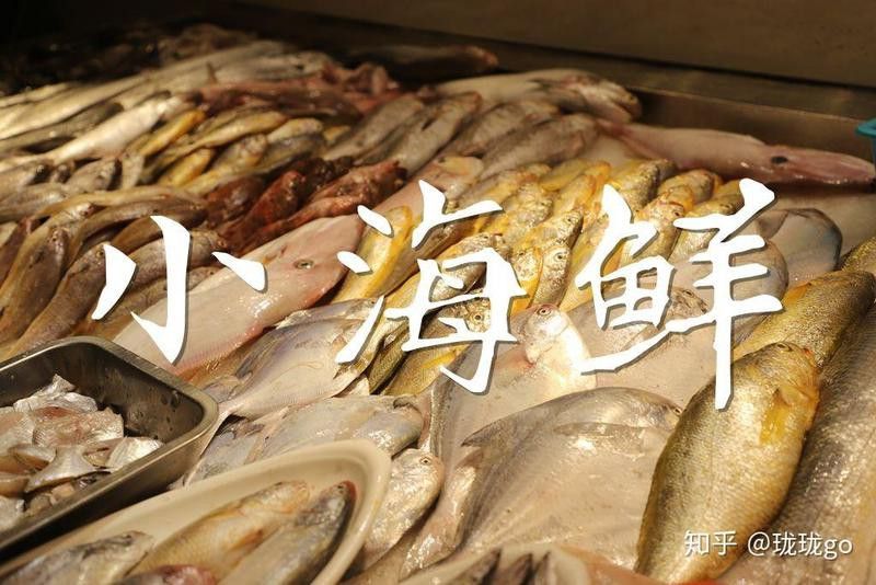 東海小白龍魚價格多少錢 東海小白龍魚價格多少錢 龍魚百科 第1張
