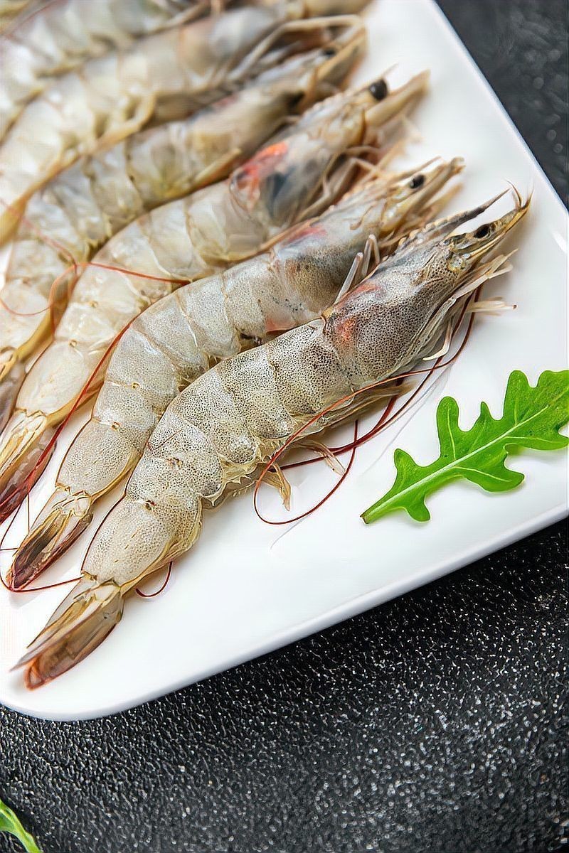 什么人不適合養龍魚蝦