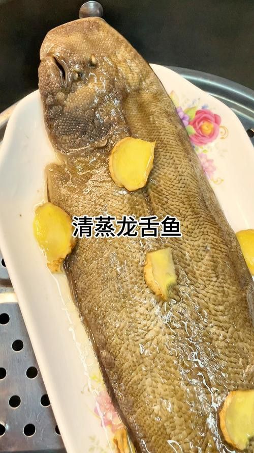 水龍魚圖片大全欣賞圖高清 水龍魚圖片大全欣賞圖高清 龍魚百科 第16張
