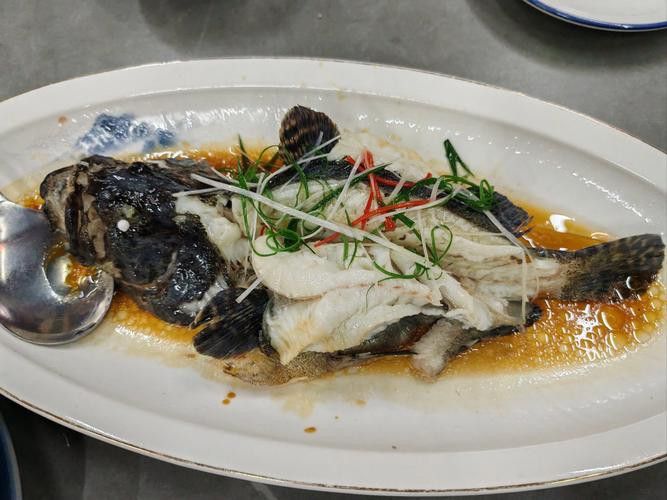 水龍魚圖片大全欣賞圖高清 水龍魚圖片大全欣賞圖高清 龍魚百科 第24張
