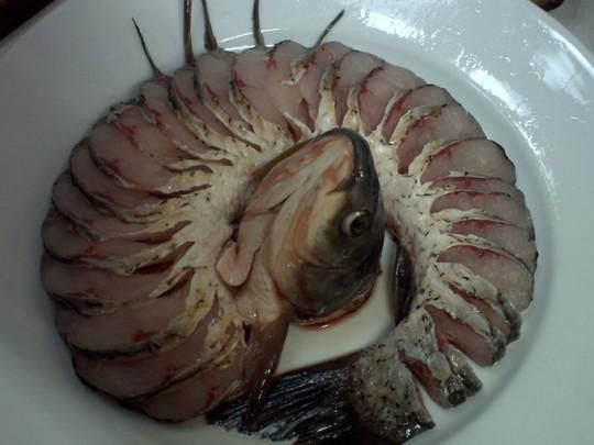 水龍魚圖片大全欣賞圖高清 水龍魚圖片大全欣賞圖高清 龍魚百科 第22張