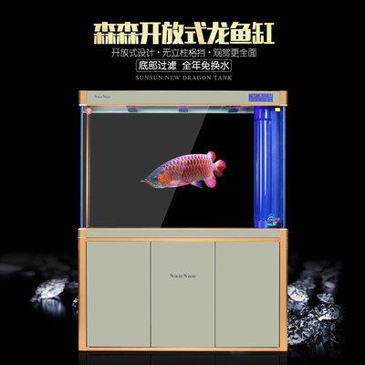龍魚有小的嗎：體型較小的龍魚品種
