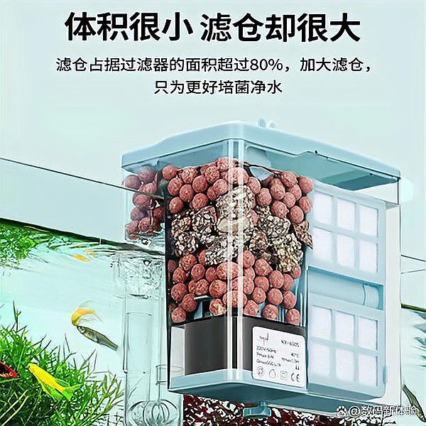 養龍魚用什么過濾器好用