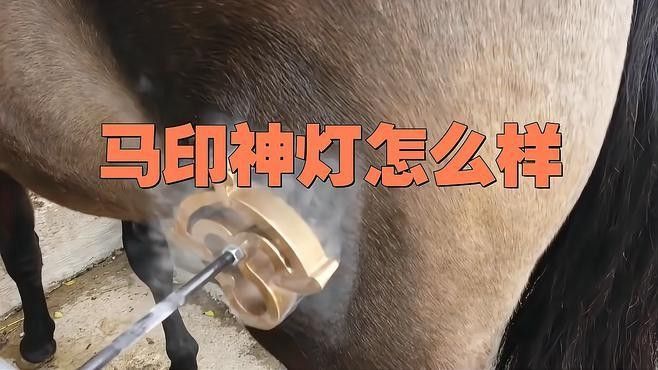 馬印神燈和仟湖哪個更好？