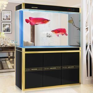 養龍魚缸里放什么裝飾品好看：養龍魚缸放什么裝飾品好看 養龍魚缸里放什么裝飾品好看：養龍魚缸放什么裝飾品好看 龍魚百科 第3張