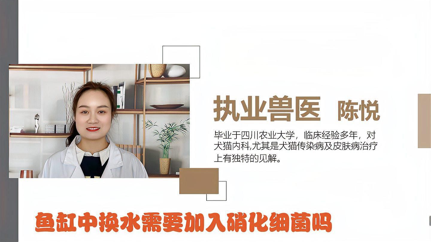 換水時需要加入硝化細菌嗎？ 換水時需要加入硝化細菌嗎？ 龍魚百科 第1張