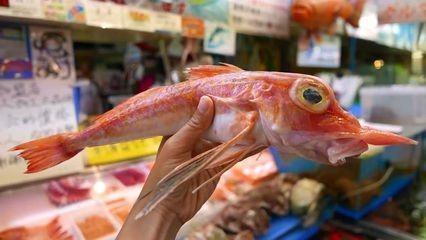 龍魚口感怎樣描寫的：龍魚與其他魚類口感比較,如何挑選新鮮龍魚? 龍魚口感怎樣描寫的：龍魚與其他魚類口感比較,如何挑選新鮮龍魚? 龍魚百科 第1張