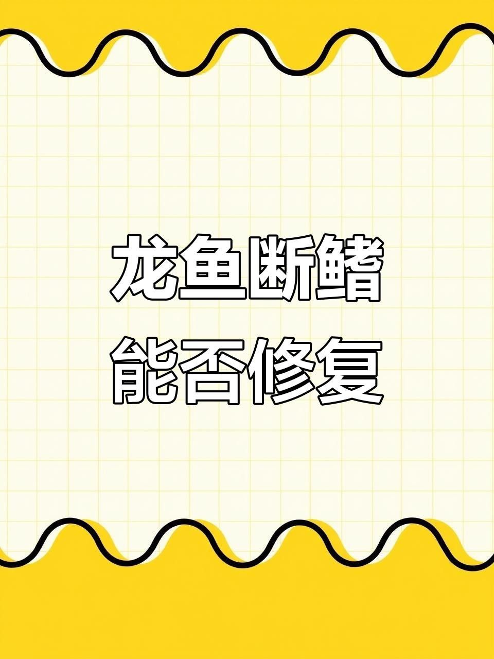 龍魚爛鰭手術(shù)后多久恢復(fù)？