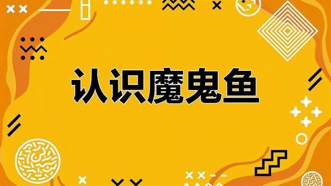 魔鬼魚和蝠鲼魚的區別