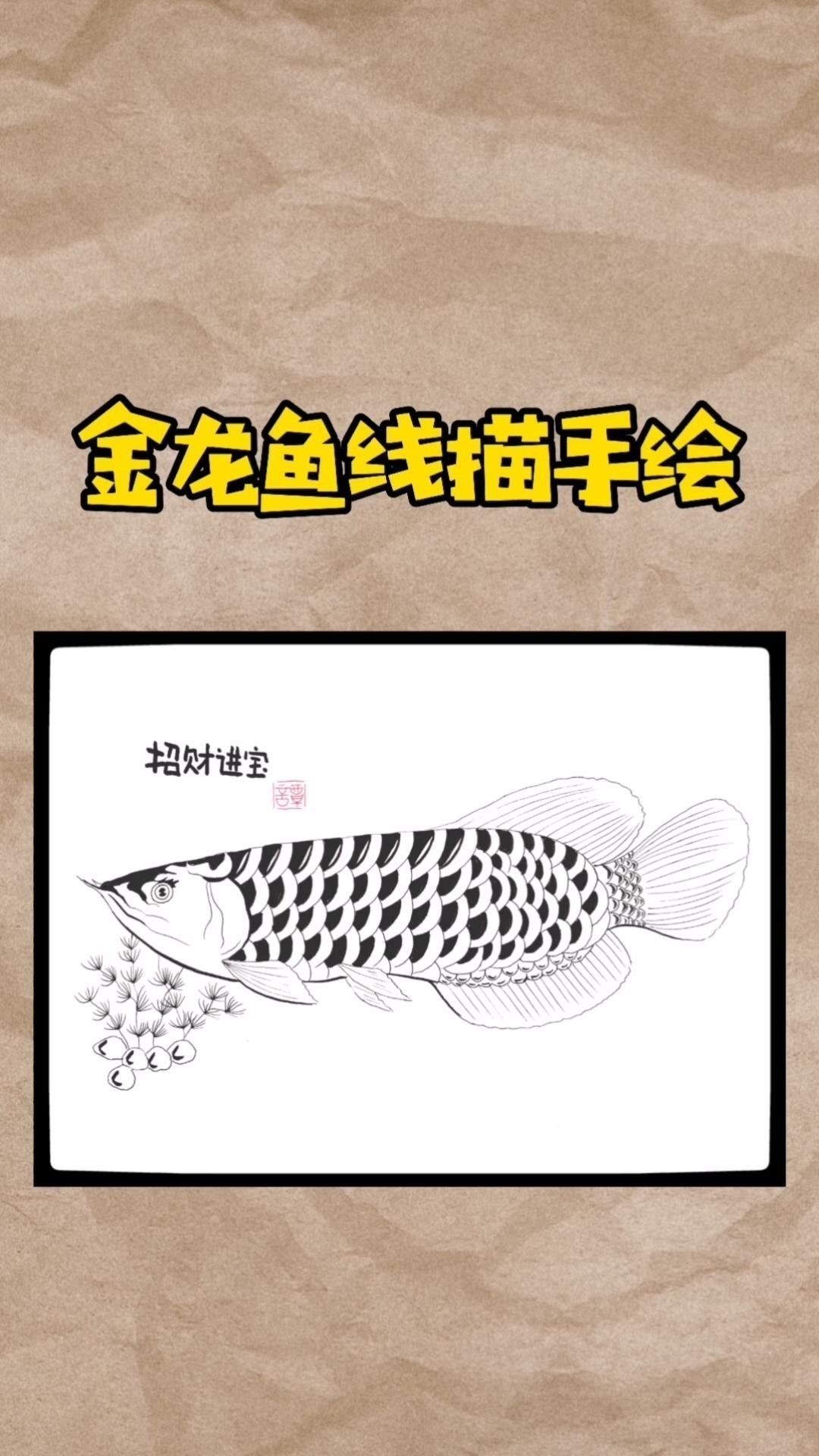 金龍魚線描作品欣賞