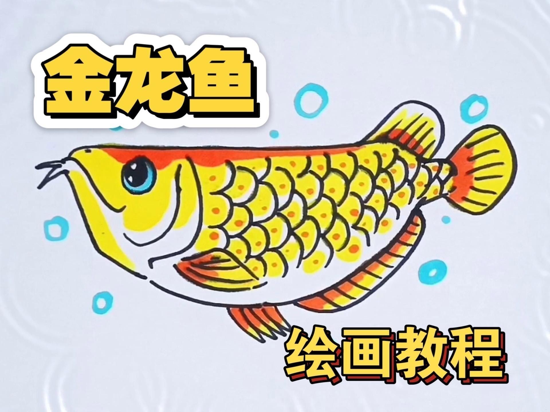 金龍魚線描作品欣賞