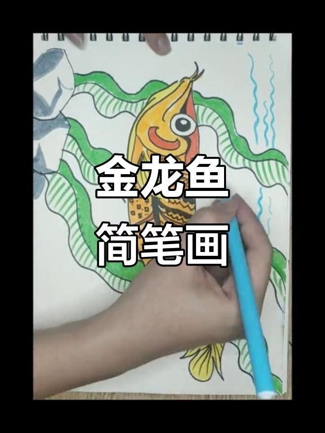 金龍魚線描作品欣賞