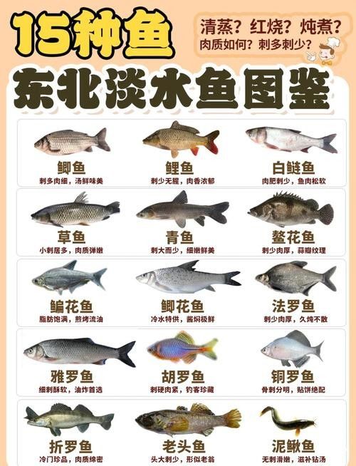 伊春區開水族店怎么樣？加盟祥龍魚場賣龍魚市場怎樣？