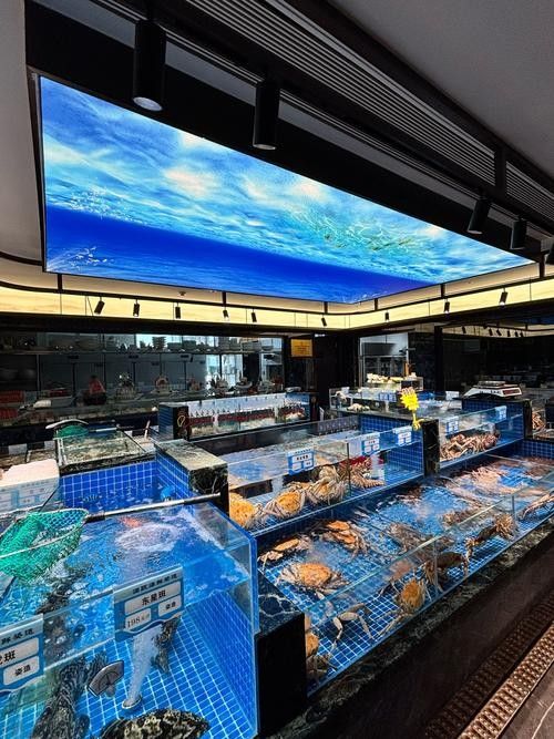 臨高開水族店怎么樣？加盟祥龍魚場賣龍魚市場怎樣？