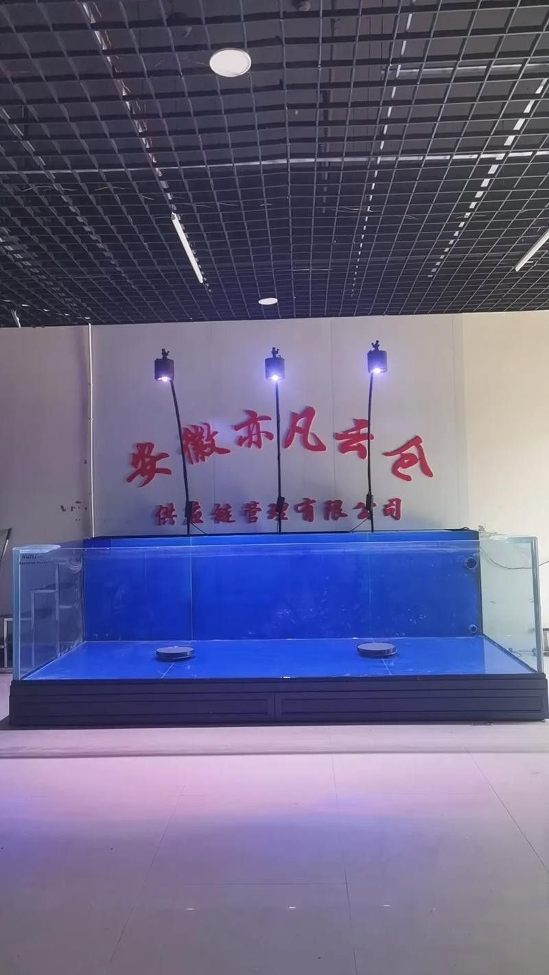 太和開水族店怎么樣？加盟祥龍魚場賣龍魚市場怎樣？