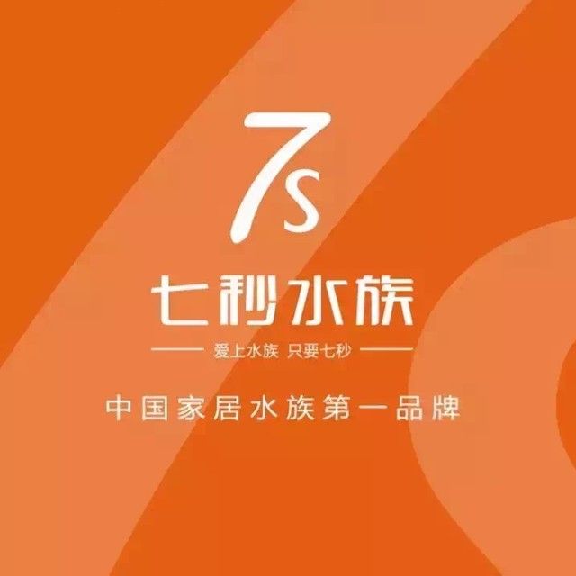 寧津開水族店怎么樣？加盟祥龍魚場賣龍魚市場怎樣？ 寧津開水族店怎么樣？加盟祥龍魚場賣龍魚市場怎樣？ 水族館百科（水族館加盟） 第1張