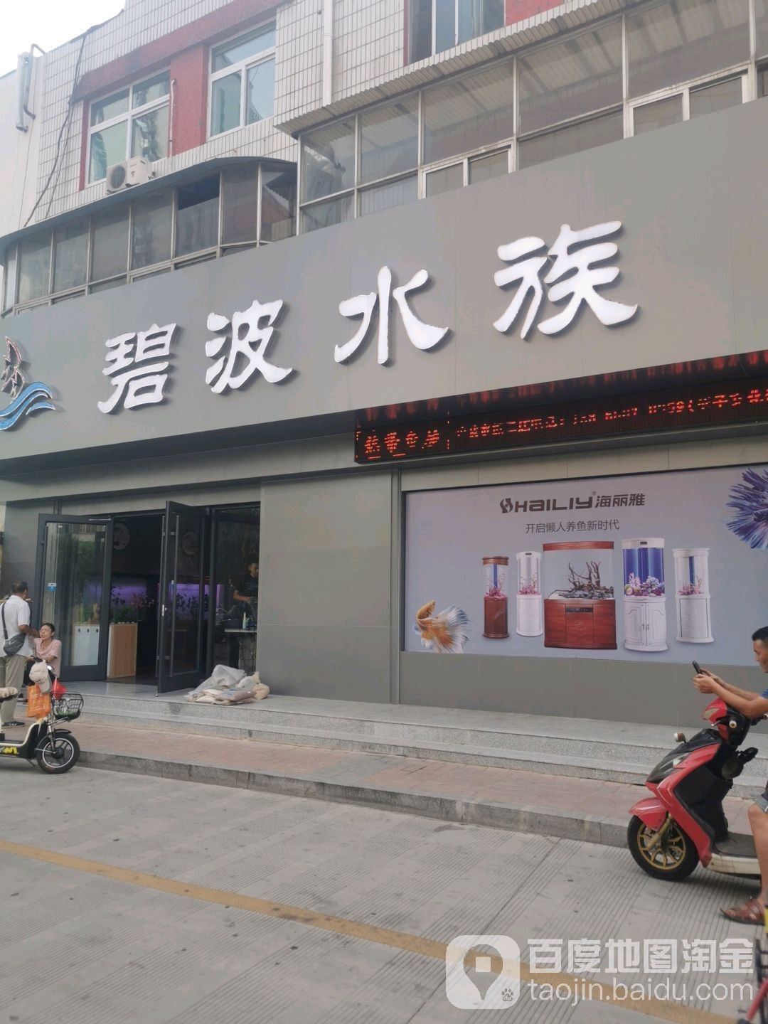 寧津開水族店怎么樣？加盟祥龍魚場賣龍魚市場怎樣？ 寧津開水族店怎么樣？加盟祥龍魚場賣龍魚市場怎樣？ 水族館百科（水族館加盟） 第2張