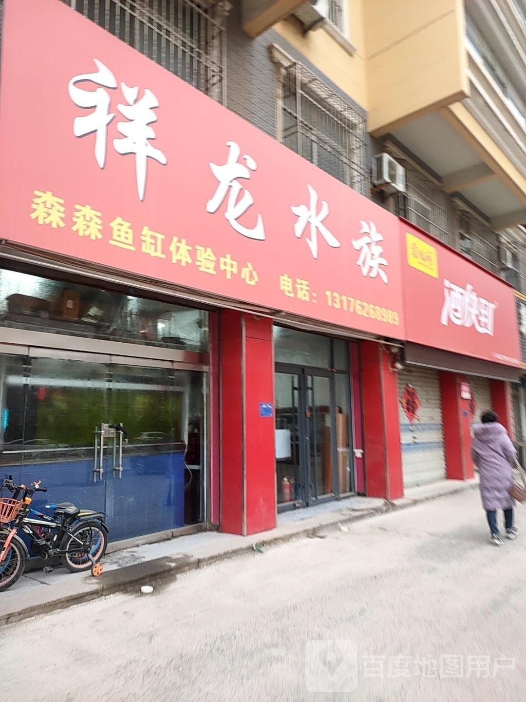 寧津開水族店怎么樣？加盟祥龍魚場賣龍魚市場怎樣？ 寧津開水族店怎么樣？加盟祥龍魚場賣龍魚市場怎樣？ 水族館百科（水族館加盟） 第4張