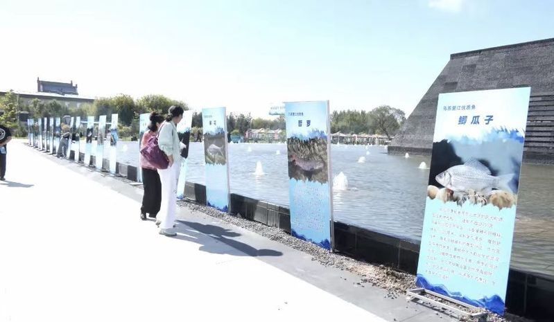饒河開水族店怎么樣？加盟祥龍魚場賣龍魚市場怎樣？