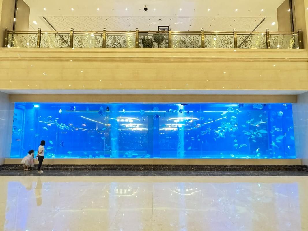 順義開水族店怎么樣？加盟祥龍魚場賣龍魚市場怎樣？