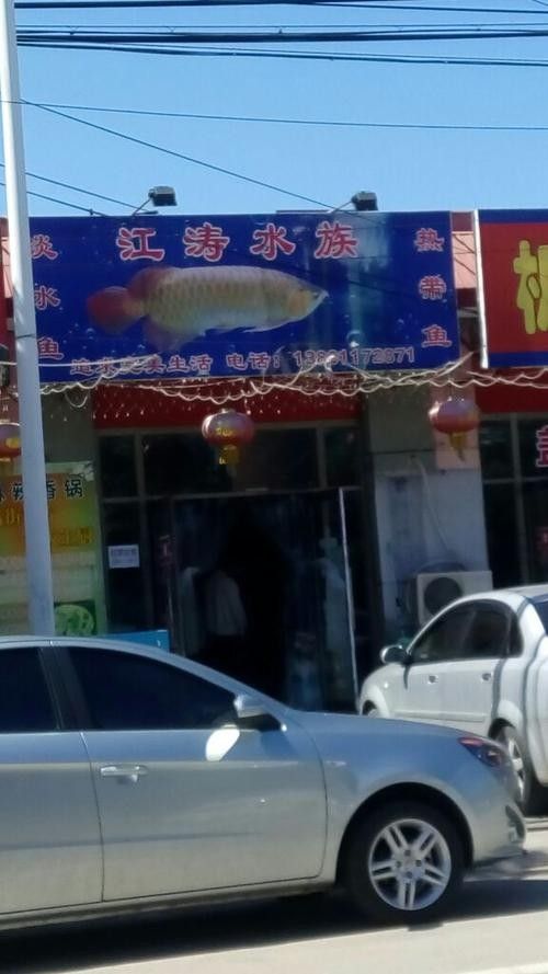 順義開水族店怎么樣？加盟祥龍魚場賣龍魚市場怎樣？