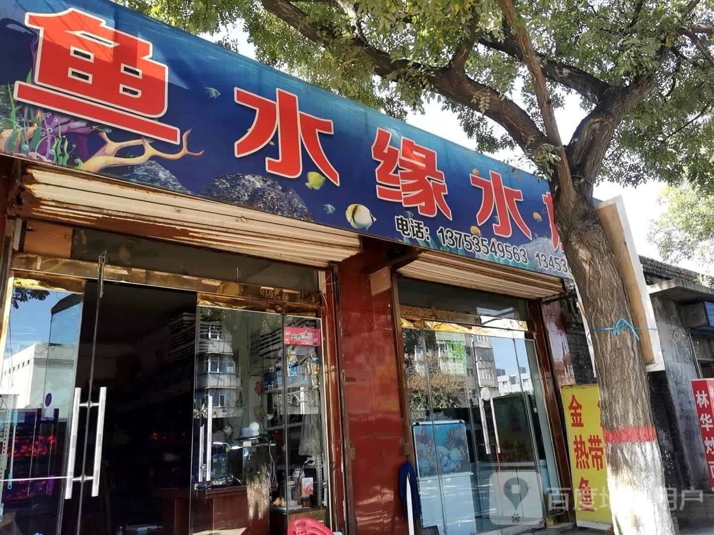 汾西開水族店怎么樣？加盟祥龍魚場賣龍魚市場怎樣？