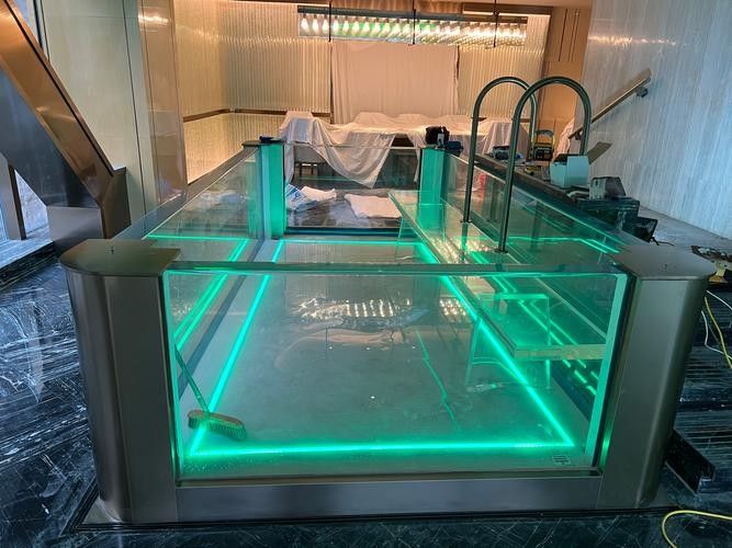 麥積開水族店怎么樣？加盟祥龍魚場賣龍魚市場怎樣？