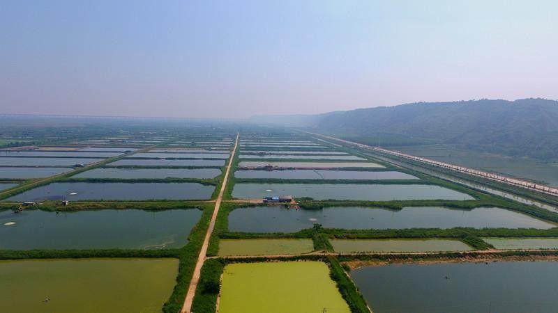 合陽開水族店怎么樣？加盟祥龍魚場(chǎng)賣龍魚市場(chǎng)怎樣？ 合陽開水族店怎么樣？加盟祥龍魚場(chǎng)賣龍魚市場(chǎng)怎樣？ 水族館百科（水族館加盟） 第5張