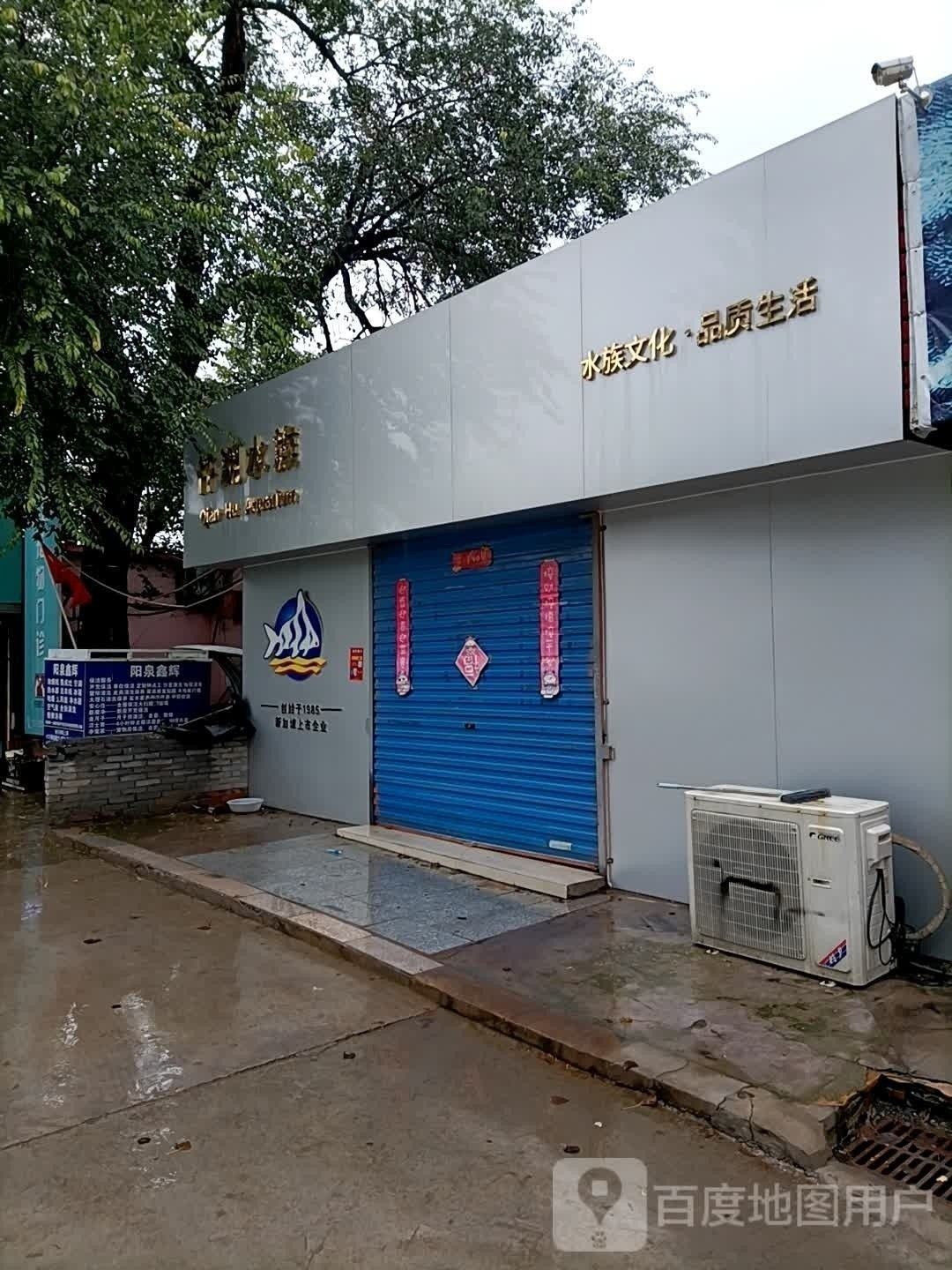 陽泉開水族店怎么樣？加盟祥龍魚場賣龍魚市場怎樣？ 陽泉開水族店怎么樣？加盟祥龍魚場賣龍魚市場怎樣？ 水族館百科（水族館加盟） 第2張