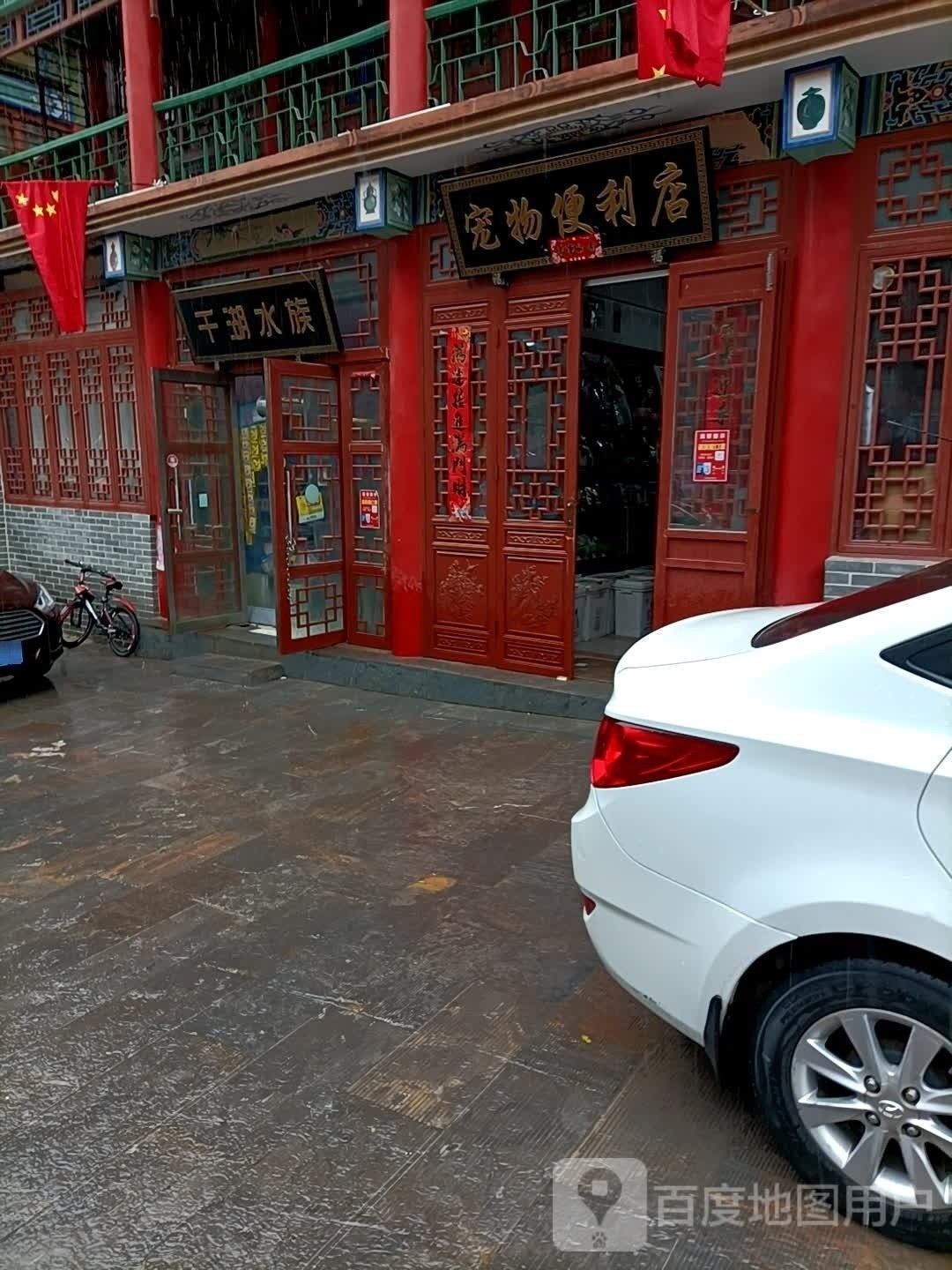 陽泉開水族店怎么樣？加盟祥龍魚場賣龍魚市場怎樣？ 陽泉開水族店怎么樣？加盟祥龍魚場賣龍魚市場怎樣？ 水族館百科（水族館加盟） 第5張