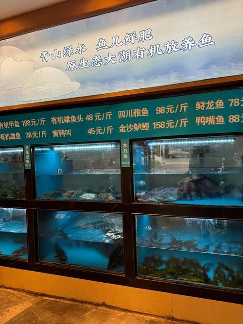 長沙開水族店怎么樣？加盟祥龍魚場賣龍魚市場怎樣？