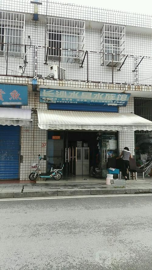 長沙開水族店怎么樣？加盟祥龍魚場賣龍魚市場怎樣？