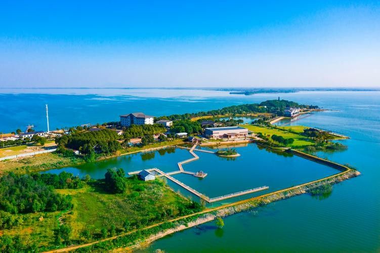 梁子湖開水族店怎么樣？加盟祥龍魚場賣龍魚市場怎樣？ 梁子湖開水族店怎么樣？加盟祥龍魚場賣龍魚市場怎樣？ 水族館百科（水族館加盟） 第1張