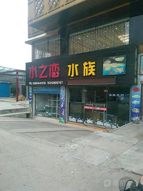 寶應(yīng)縣開水族店怎么樣？加盟祥龍魚場(chǎng)賣龍魚市場(chǎng)怎樣？