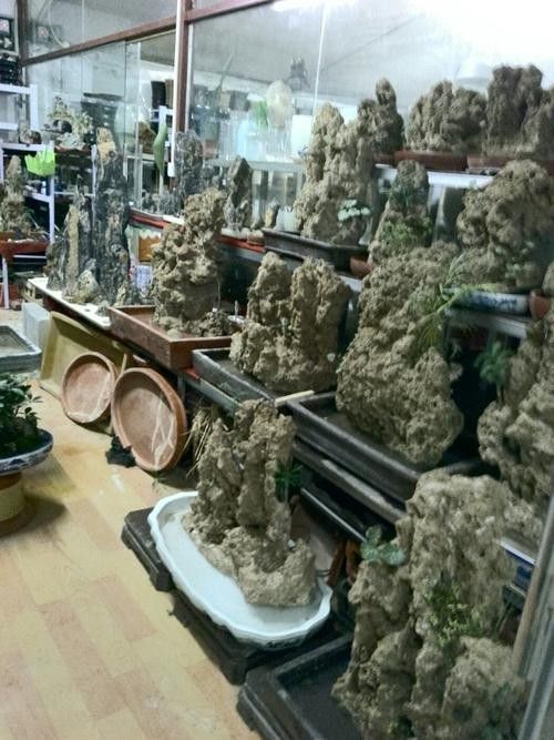 華龍開水族店怎么樣？加盟祥龍魚場賣龍魚市場怎樣？ 華龍開水族店怎么樣？加盟祥龍魚場賣龍魚市場怎樣？ 水族館百科（水族館加盟） 第4張