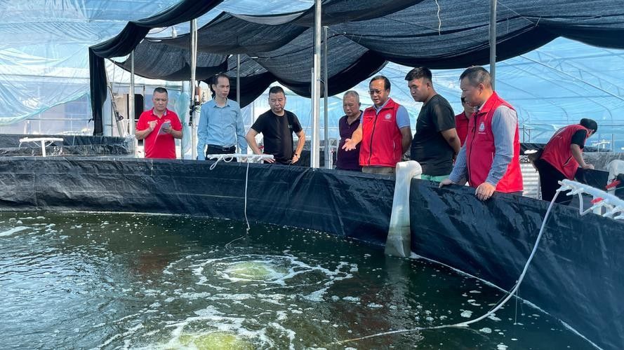 邕寧開水族店怎么樣？加盟祥龍魚場賣龍魚市場怎樣？ 邕寧開水族店怎么樣？加盟祥龍魚場賣龍魚市場怎樣？ 水族館百科（水族館加盟） 第6張