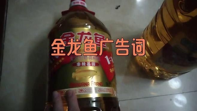 玉環開水族店怎么樣？加盟祥龍魚場賣龍魚市場怎樣？ 玉環開水族店怎么樣？加盟祥龍魚場賣龍魚市場怎樣？ 水族館百科（水族館加盟） 第5張