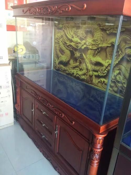 二連浩特開水族店怎么樣？加盟祥龍魚場賣龍魚市場怎樣？