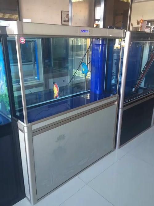 二連浩特開水族店怎么樣？加盟祥龍魚場賣龍魚市場怎樣？